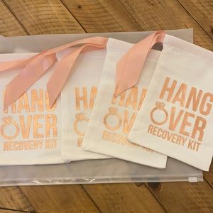 Rosegold Hanover Recovery kit bags
